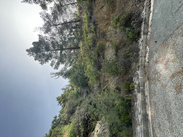 2 PLOTS AT MONIATIS VILLAGE FOR SALE photo 1