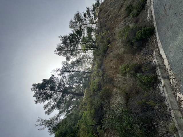 2 PLOTS AT MONIATIS VILLAGE FOR SALE photo 2